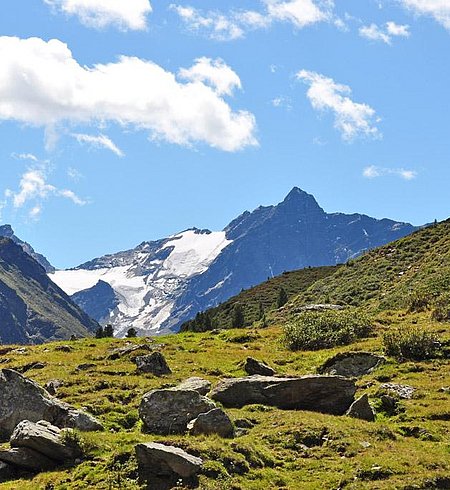 Alpage Finstertaler Alm