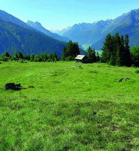 Narrenkogel