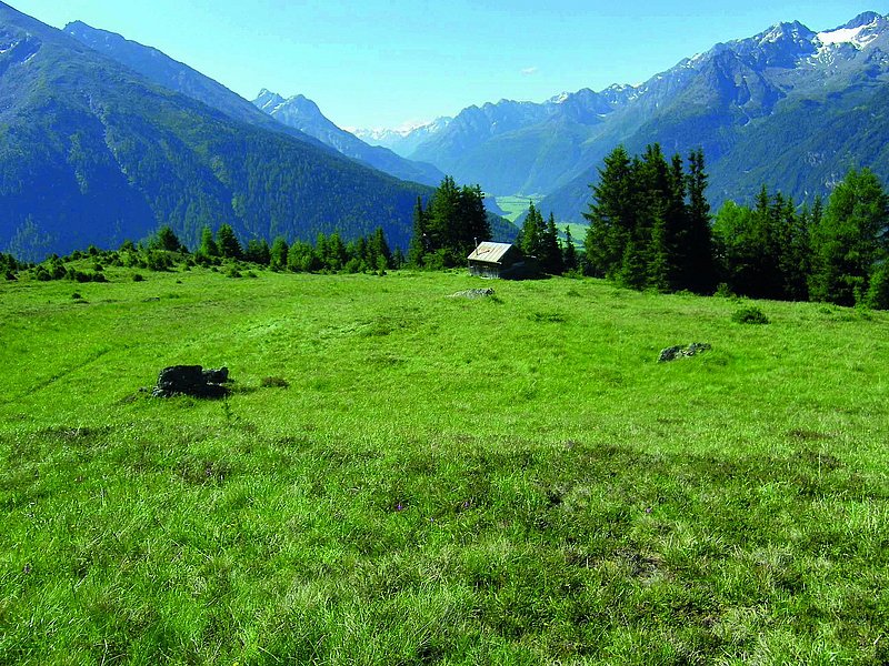 Le mont Narrenkogel près de Niederthai