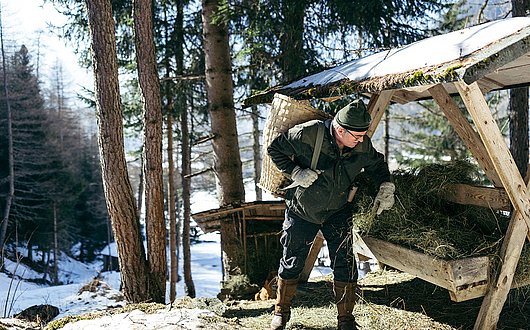 Falknerhof Wildtierfütterung