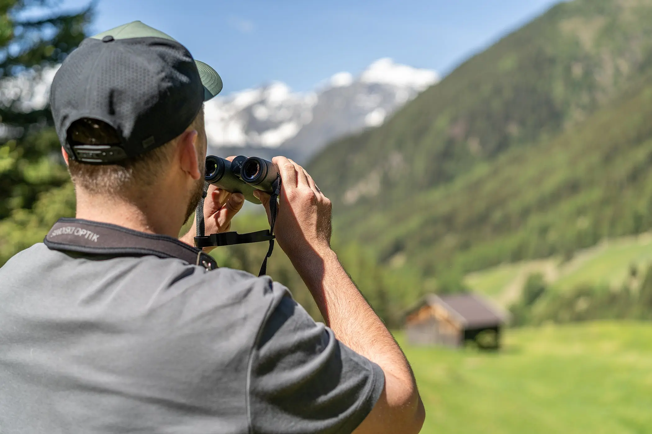 Nature Watch