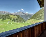 Dachsbau