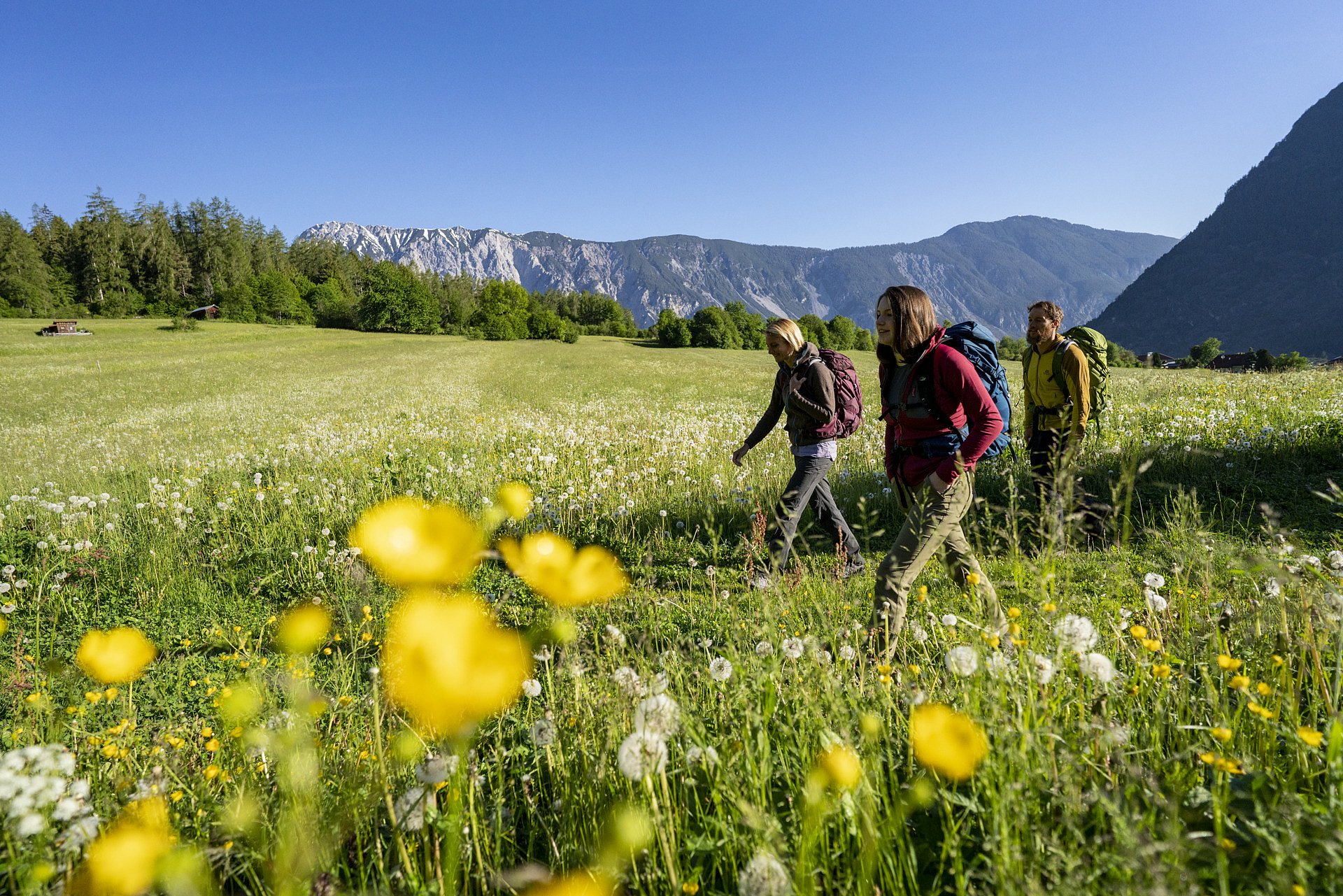 Sommer in Niederthai